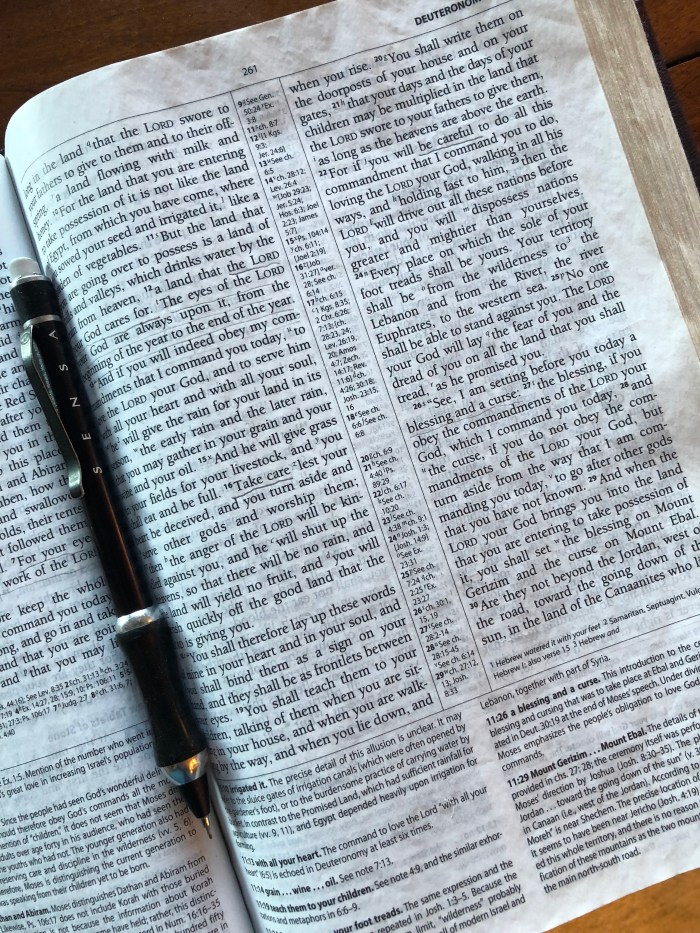 58Weg+7hSvuXvUpnlw5yoA